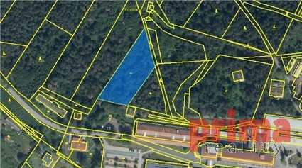 Prodej, pozemek, v katastru jako ostatní plocha, CP 3.459m2, Kladruby u Vlašimi - Fotka 3