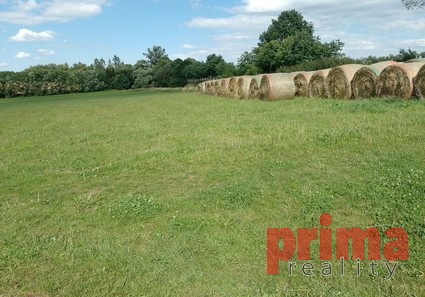 Prodej, pozemek, 5.315m2, Pracejovice, okres Strakonice - Fotka 2