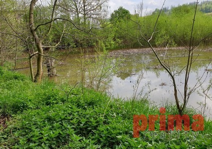 Prodej, rybník a pozemek, CP 7.028m2, Votice - Fotka 1
