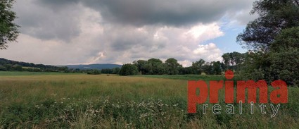 Prodej, pozemek, trvalý travní porost, 31.064m2, Velké Chvojno - Fotka 2