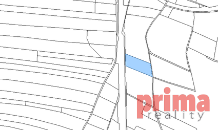 Prodej, lesní pozemek, 4.746m2, Velký Osek- Kolín - Fotka 1