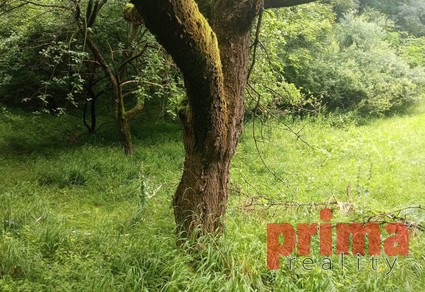 Prodej, stavební pozemek, 626m2, Vyšní Lhoty - Fotka 2