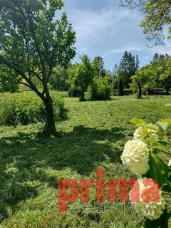 Prodej, stavební pozemek, 2.290m2,  Supíkovice, Jeseník - Fotka 1