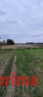 Prodej, pole, 990m2, Mnetěš, kraj Ústecký - Fotka 3