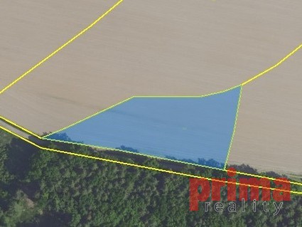 Prodej, pole 5.355m2, Zásmuky - Fotka 3