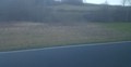 Fotka 5