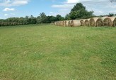 Prodej, pozemek, 5.315m2, Pracejovice, okres Strakonice