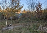 Prodej, trvalý travní porost, Davle, CP 8.981m2