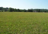 Prodej, pozemky Vlastějovice, 13.479 m2