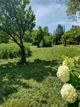 Prodej, stavební pozemek, 2.290m2,  Supíkovice, Jeseník
