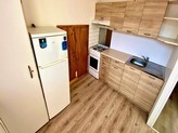 Pronájem, byt 1+1, po částečné rekonstrukci, balkon, sklep, 38m2